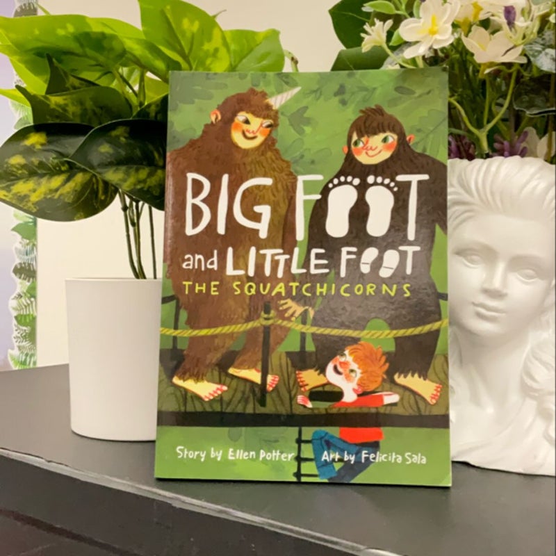 The Squatchicorns (Big Foot and Little Foot #3)