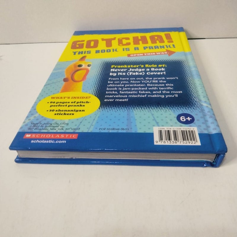 Ultimate Prankster's Handbook