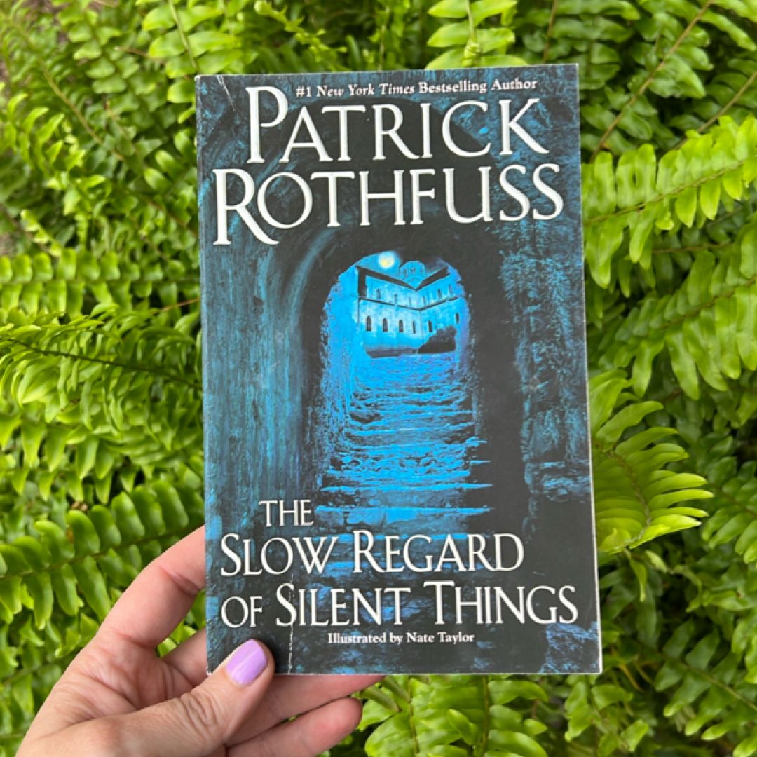 The Slow Regard of Silent Things