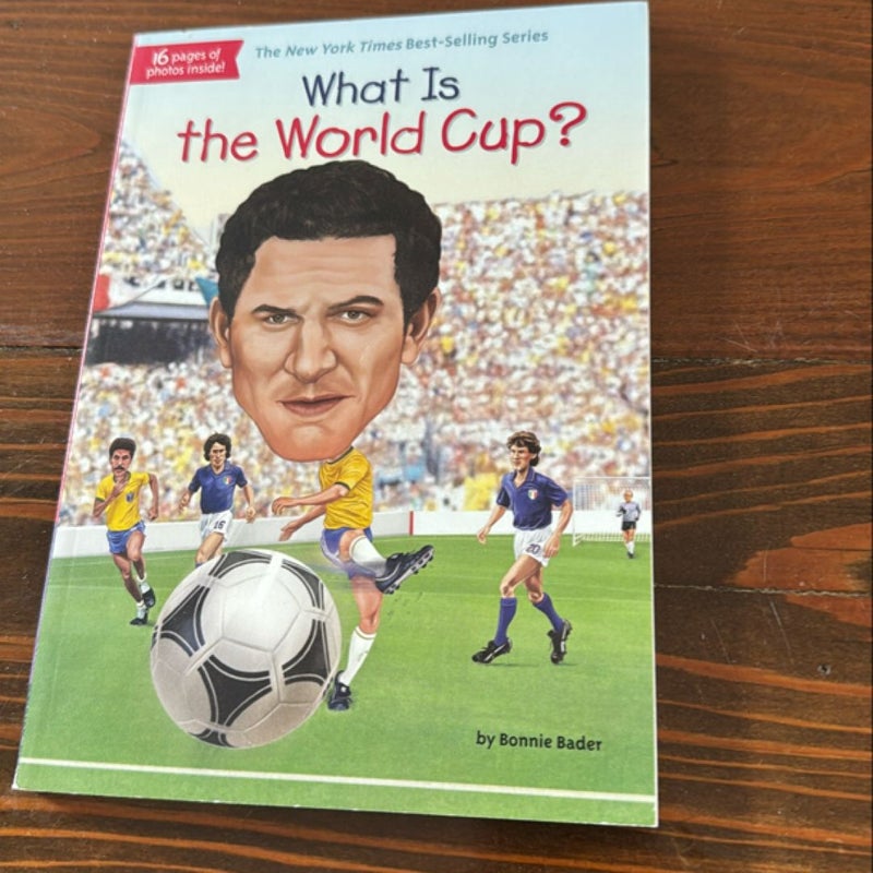 What Is the World Cup?