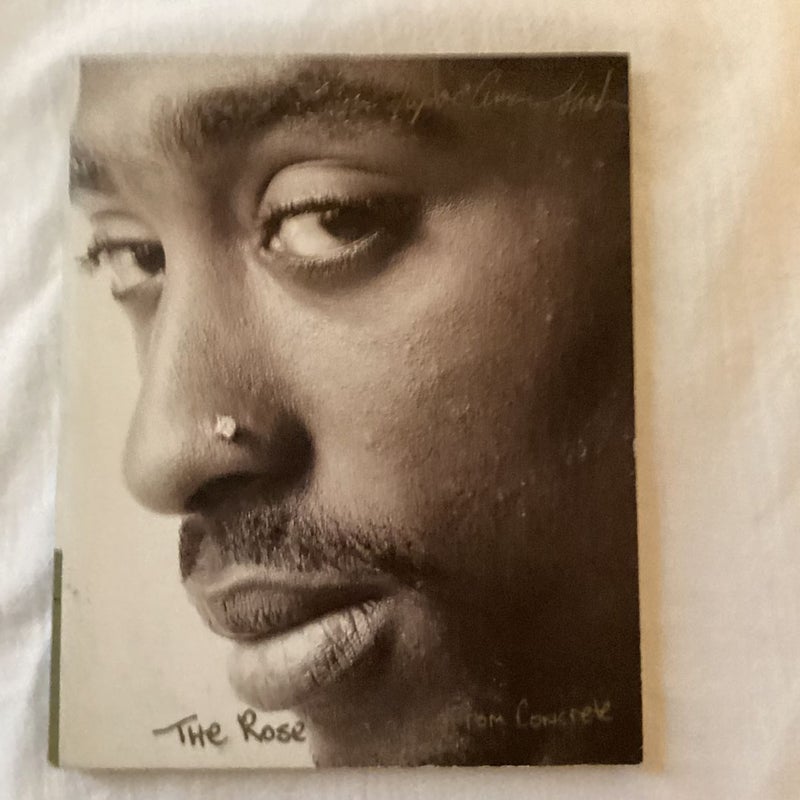 The Rose That Grew from Concrete