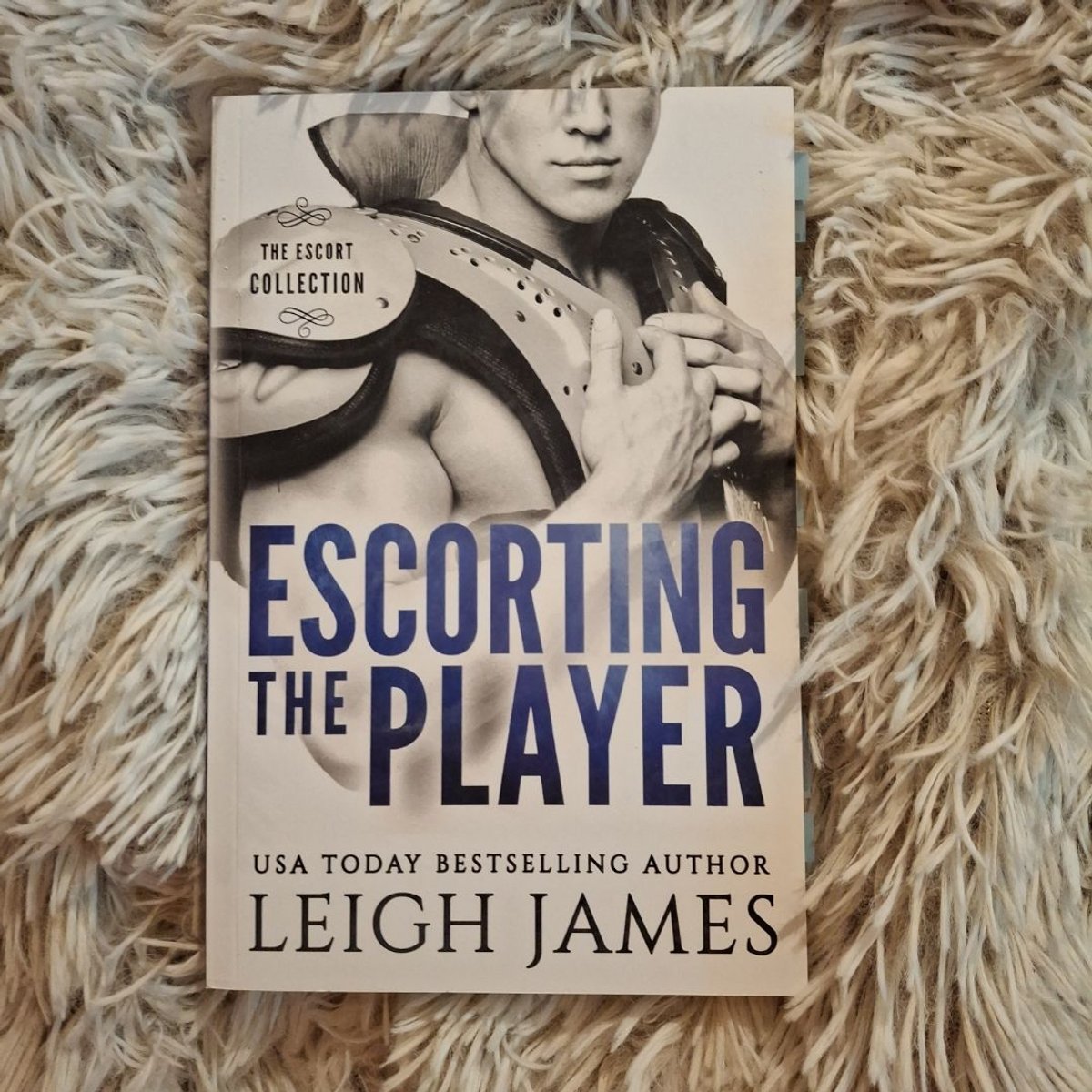 Escorting the Player by Leigh James
