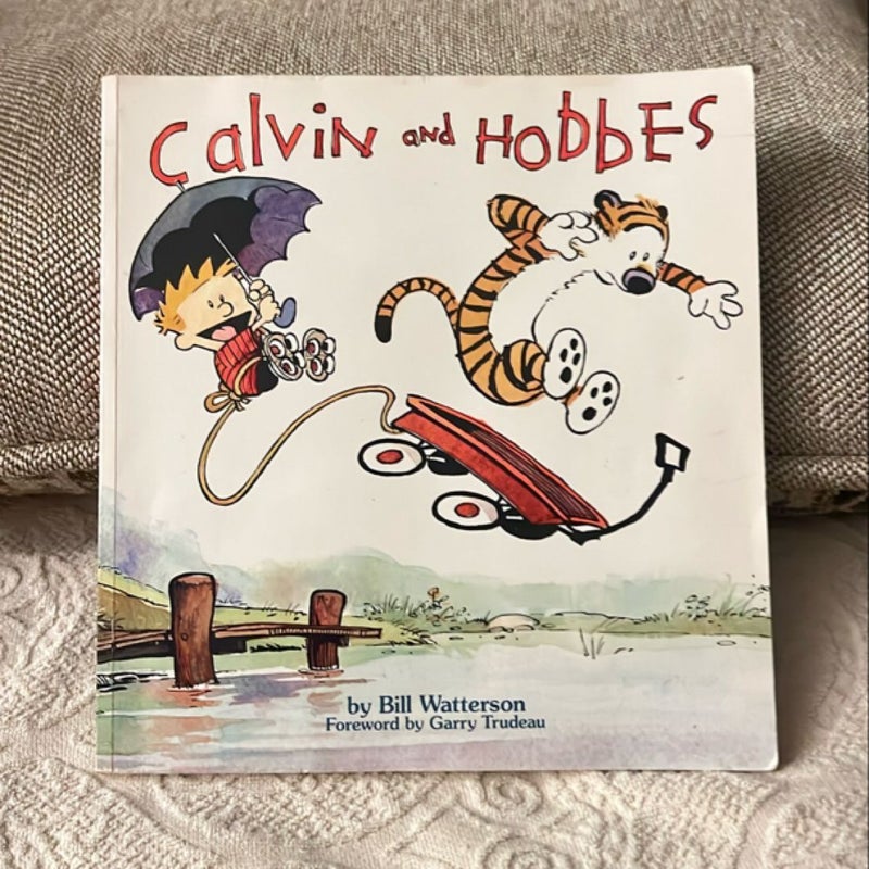 Calvin and Hobbes