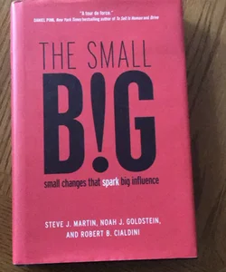 The Small BIG