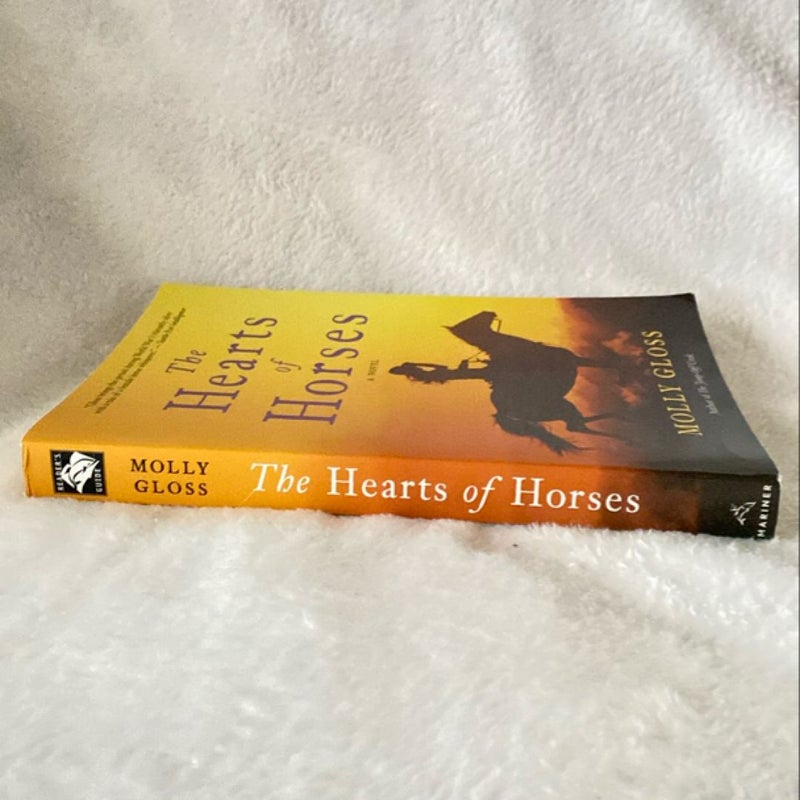 The Hearts of Horses