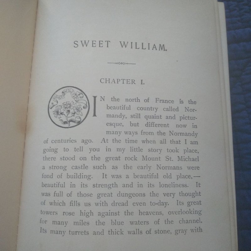 Sweet William