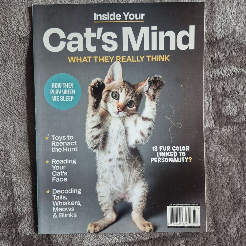 4 Magazines All About Cats