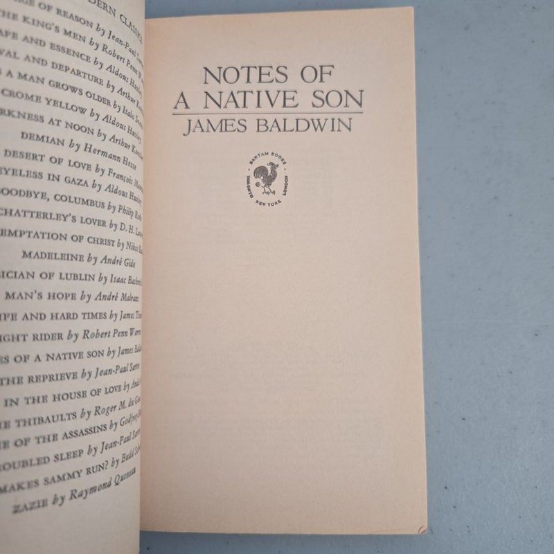 Notes Of A Native Son