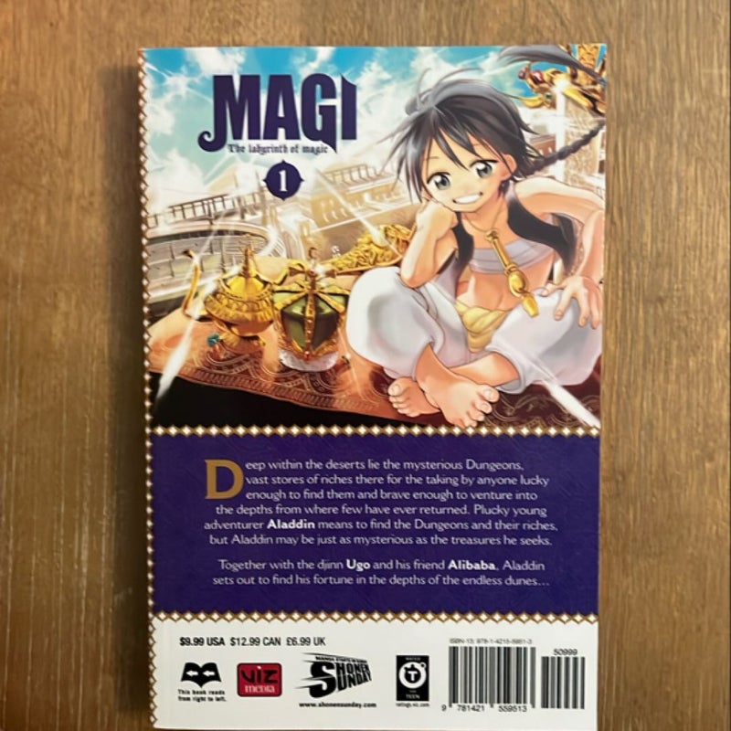 Magi: the Labyrinth of Magic, Vol. 1
