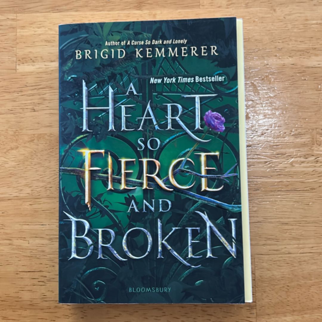 A Heart So Fierce and Broken