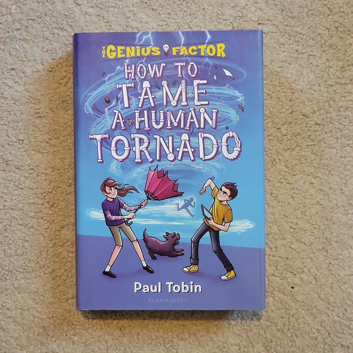 How to Tame a Human Tornado by Paul Tobin