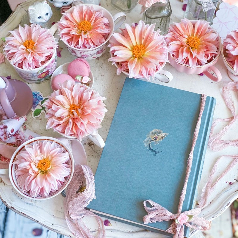 Orgullo Y Prejuicio (Pride and Prejudice)