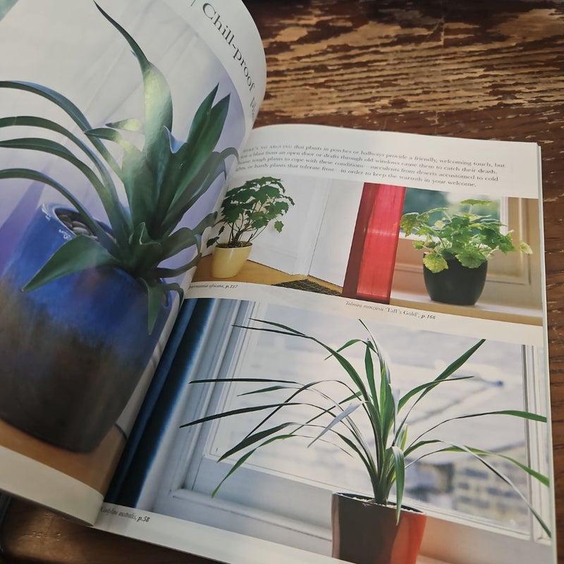 House Plants