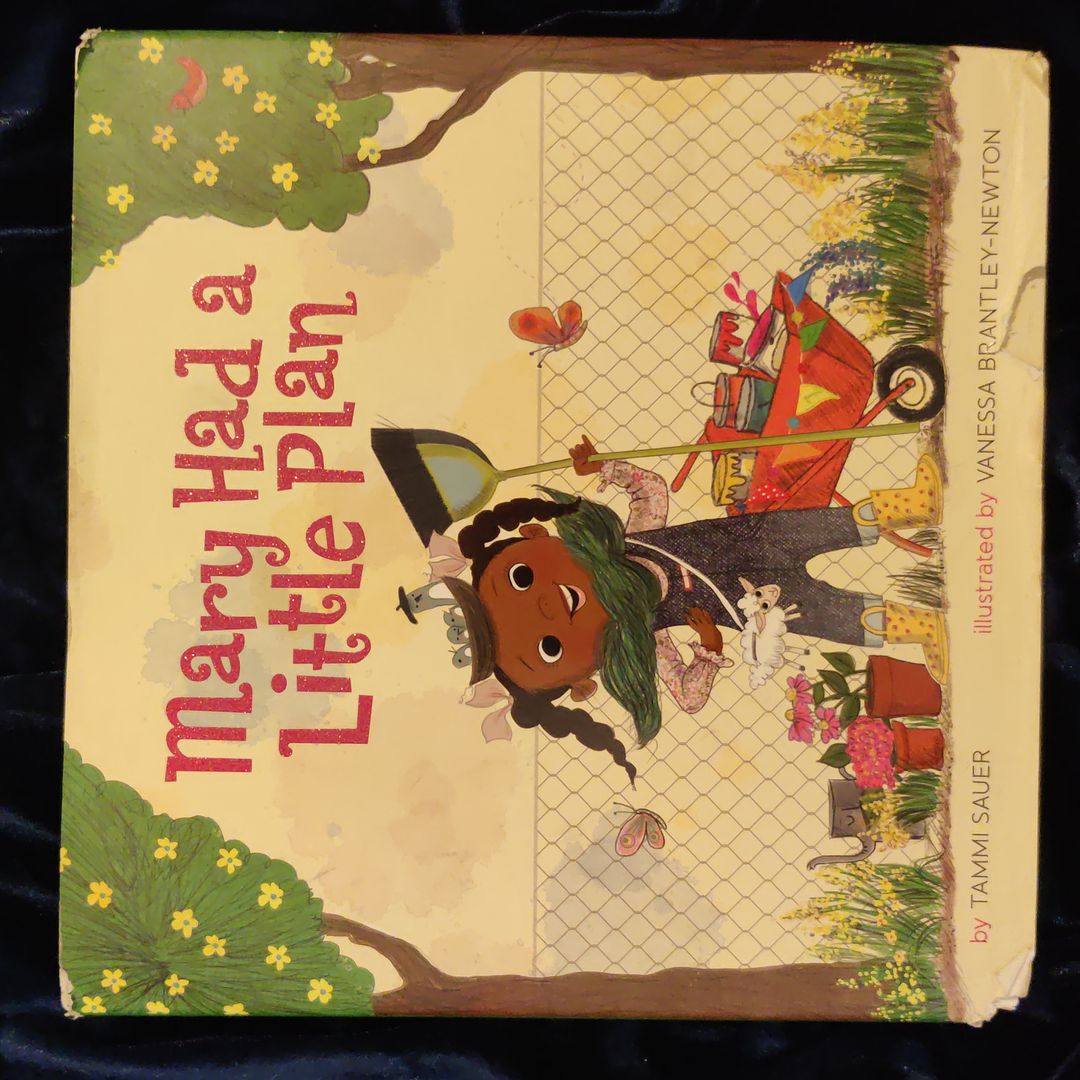 Mary Had a Little Plan