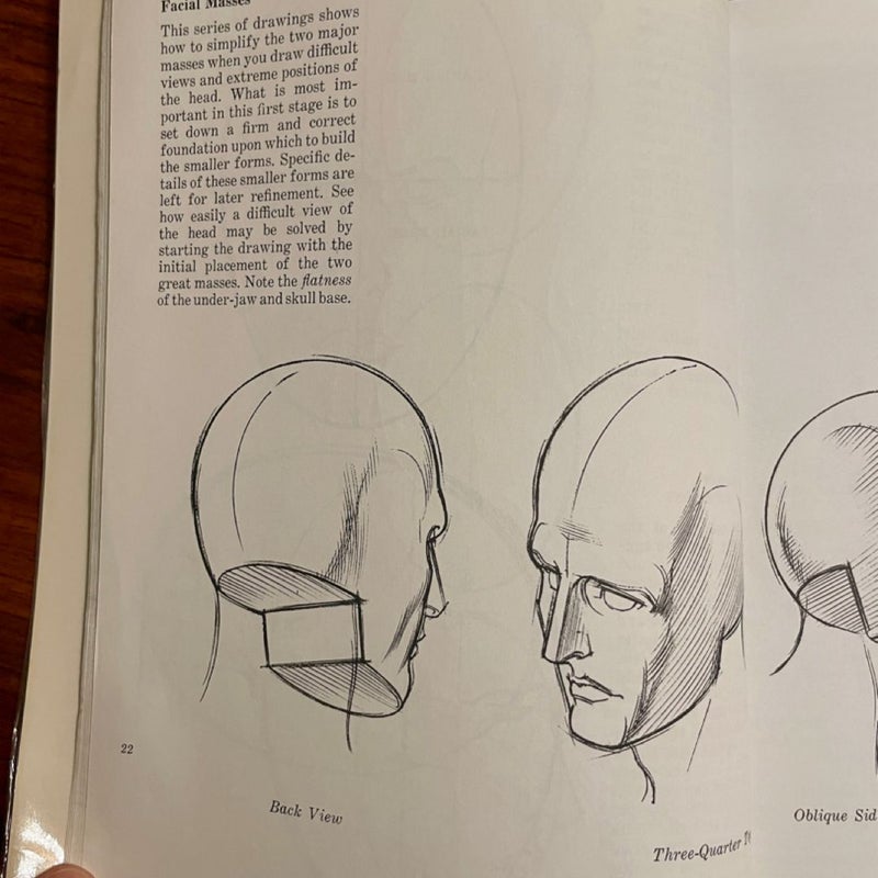 Drawing the Human Head