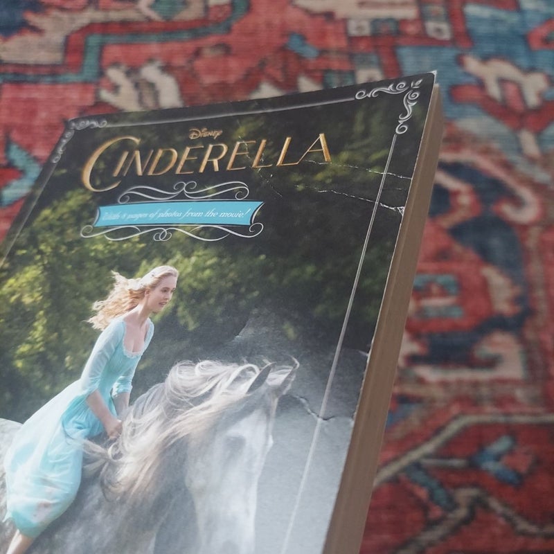 Cinderella Junior Novel