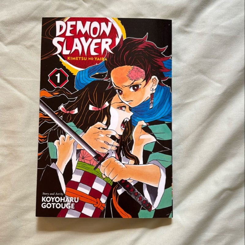 Demon Slayer: Kimetsu No Yaiba, Vol. 1