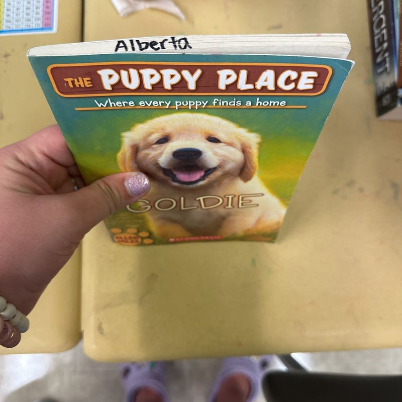 Goldie: Puppy Place