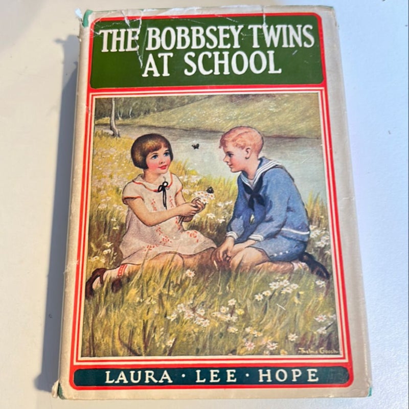 The Bobbsey Twins at School 