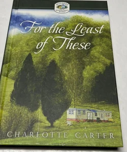 For The Least Of These (Mystery and the Minister's Wife)
