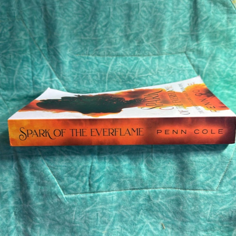 SPARK OF THE EVERFLAME (OOP edition)
