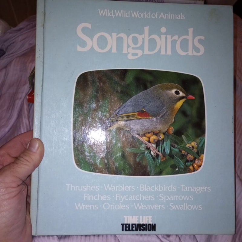 Songbirds