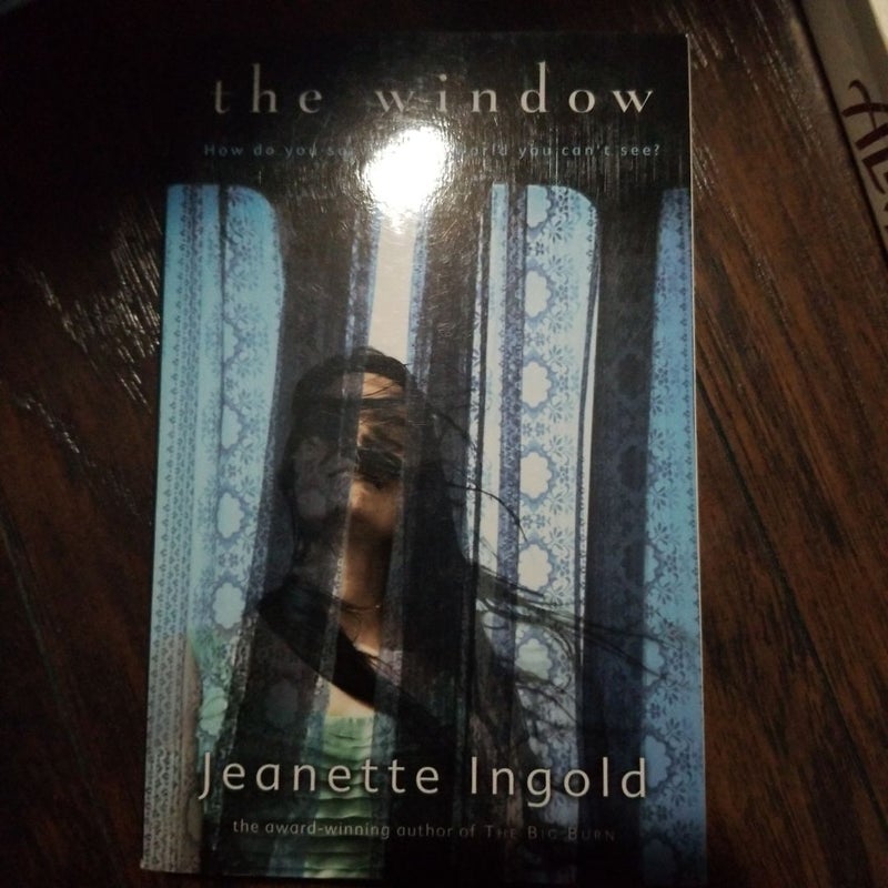 The Window