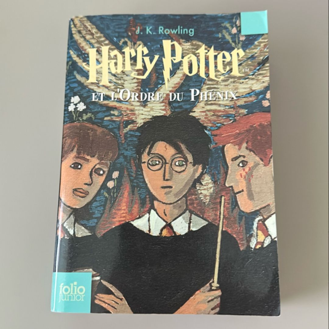 9782070612406 book cover