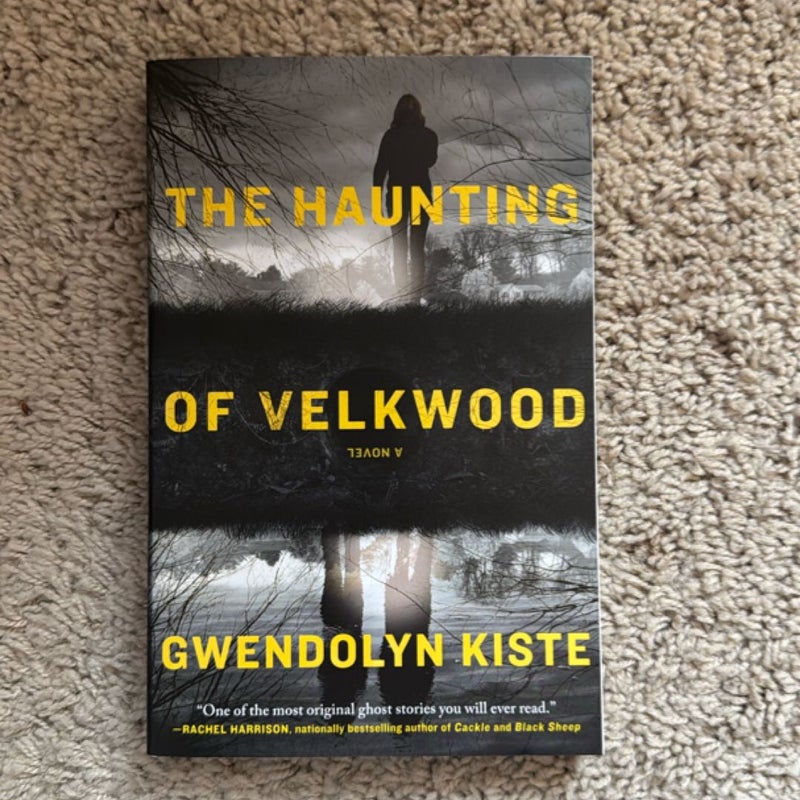 The Haunting of Velkwood