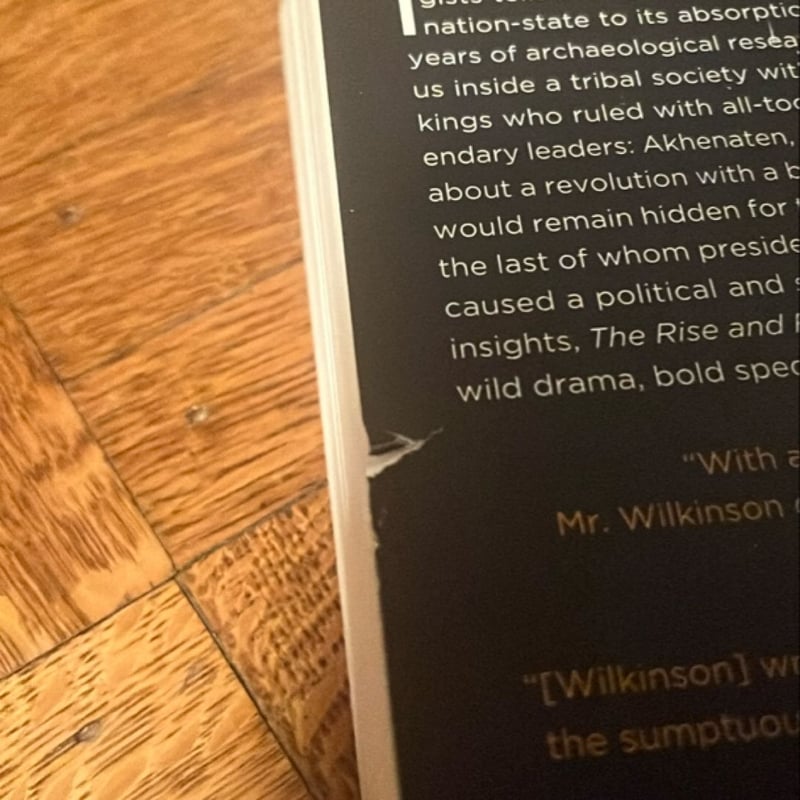 The Rise and Fall of Ancient Egypt by Toby Wilkinson