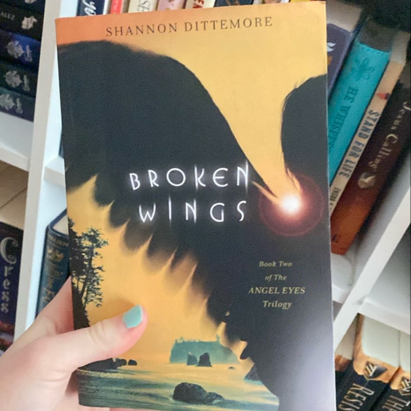 Broken Wings