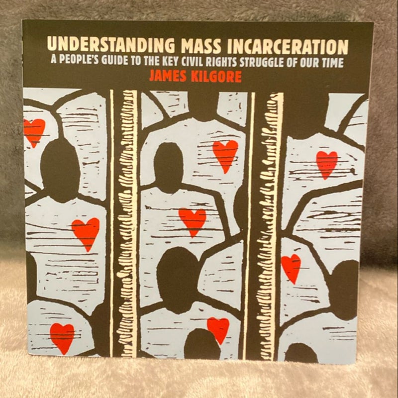 Understanding Mass Incarceration