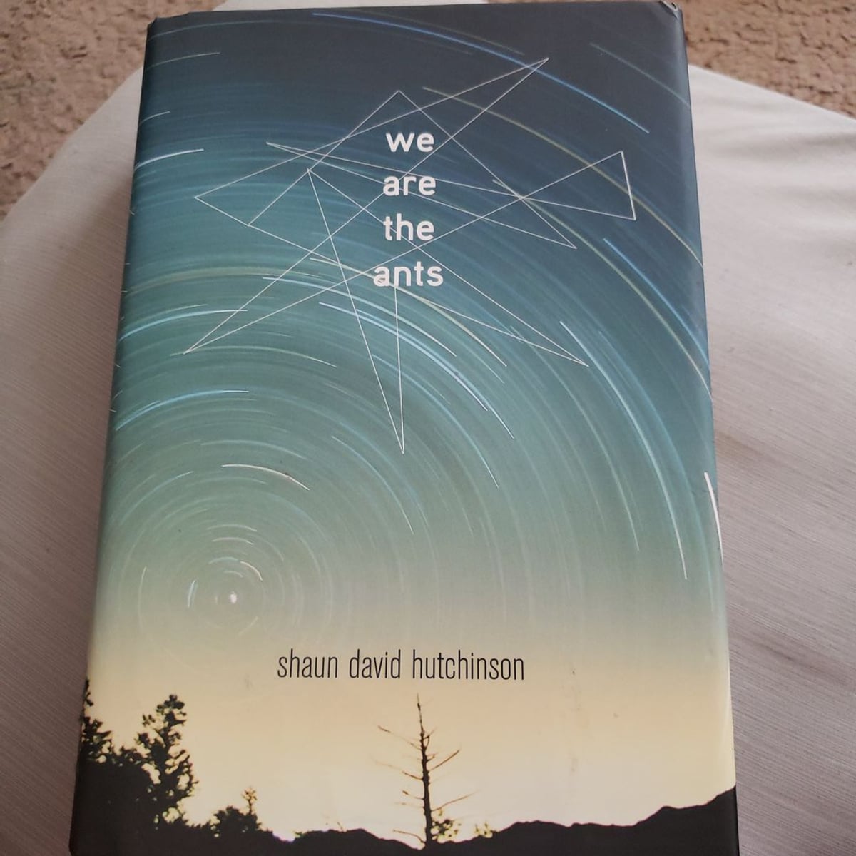 We Are the Ants by Shaun David Hutchinson, Hardcover Pangobooks