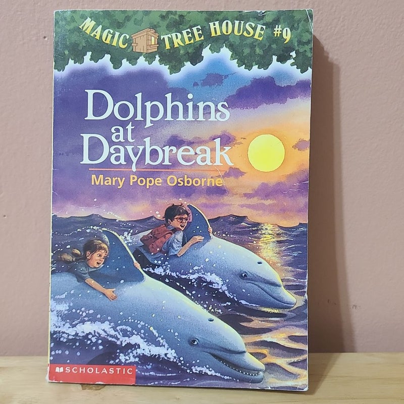 Dolphins at Daybreak