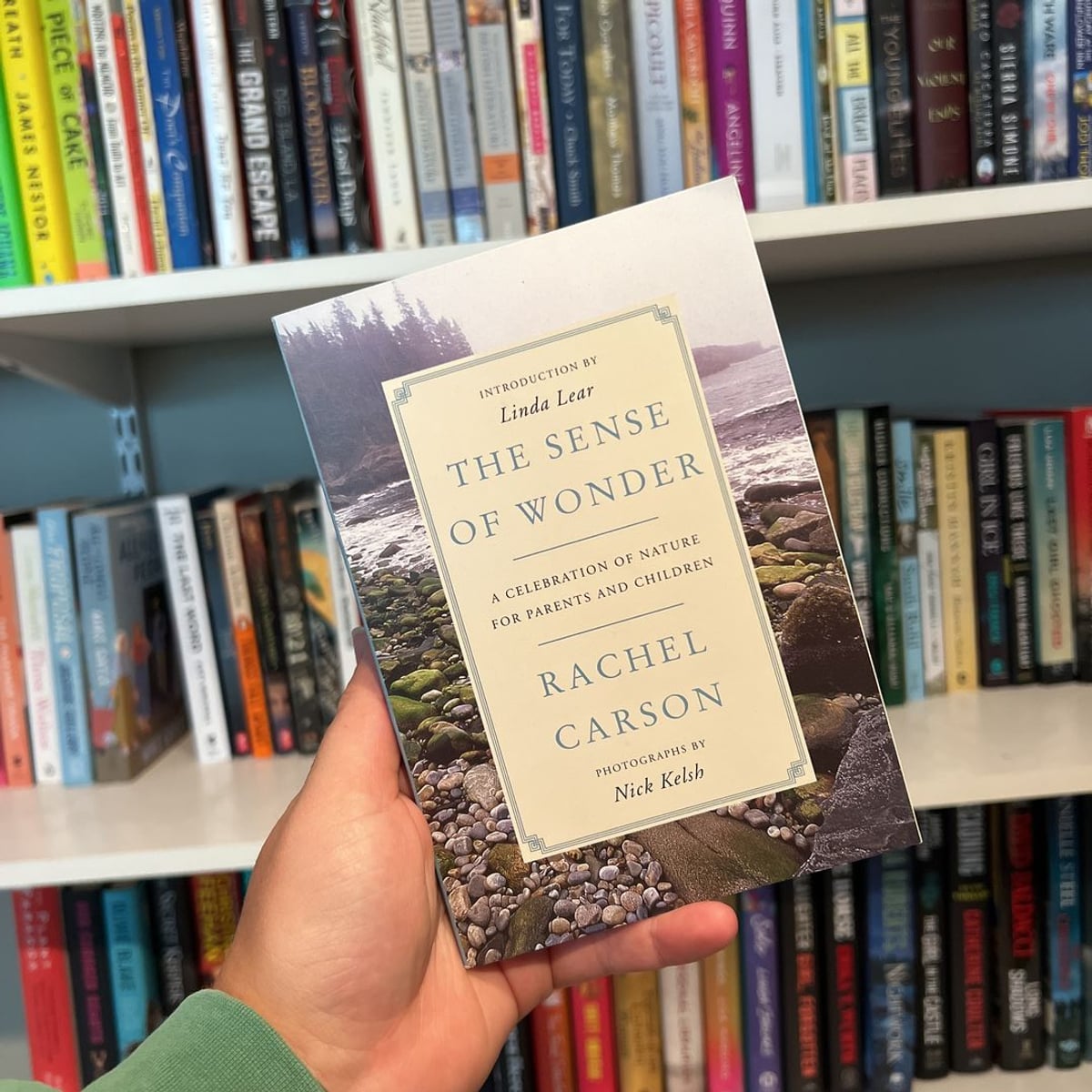 The Sense of Wonder by Rachel Carson