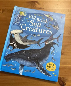 Big Book of Sea Creatures 