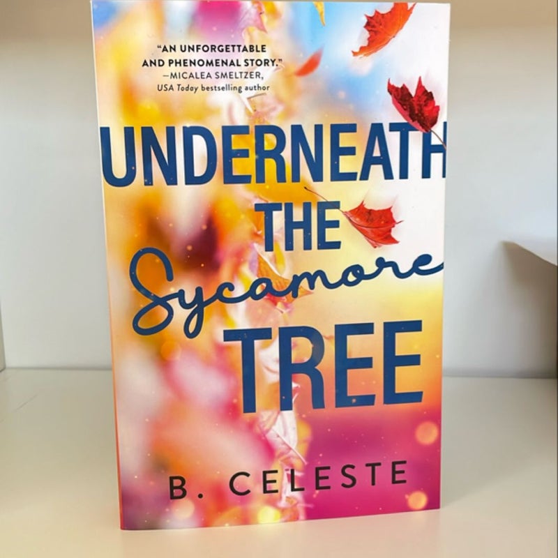Underneath the Sycamore Tree