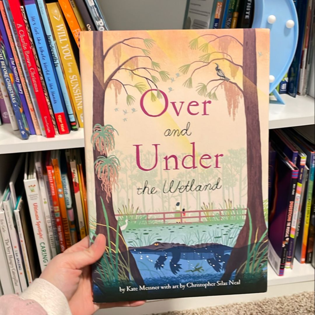 Over and under the Wetland