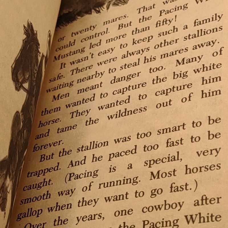 Five True Horse Stories