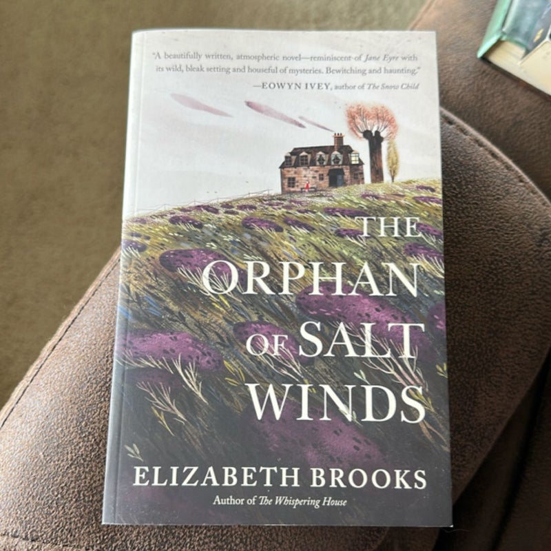 The Orphan of Salt Winds