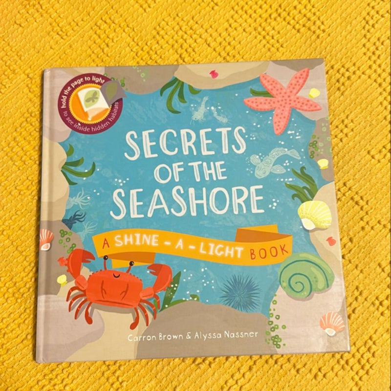 🔶Secrets of the Seashore