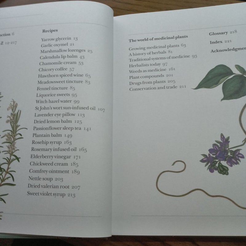 Medicinal plants