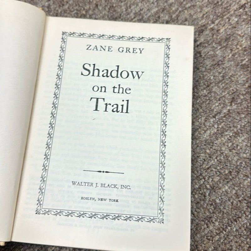 Shadow on the trail