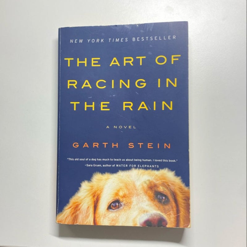 The Art of Racing in the Rain