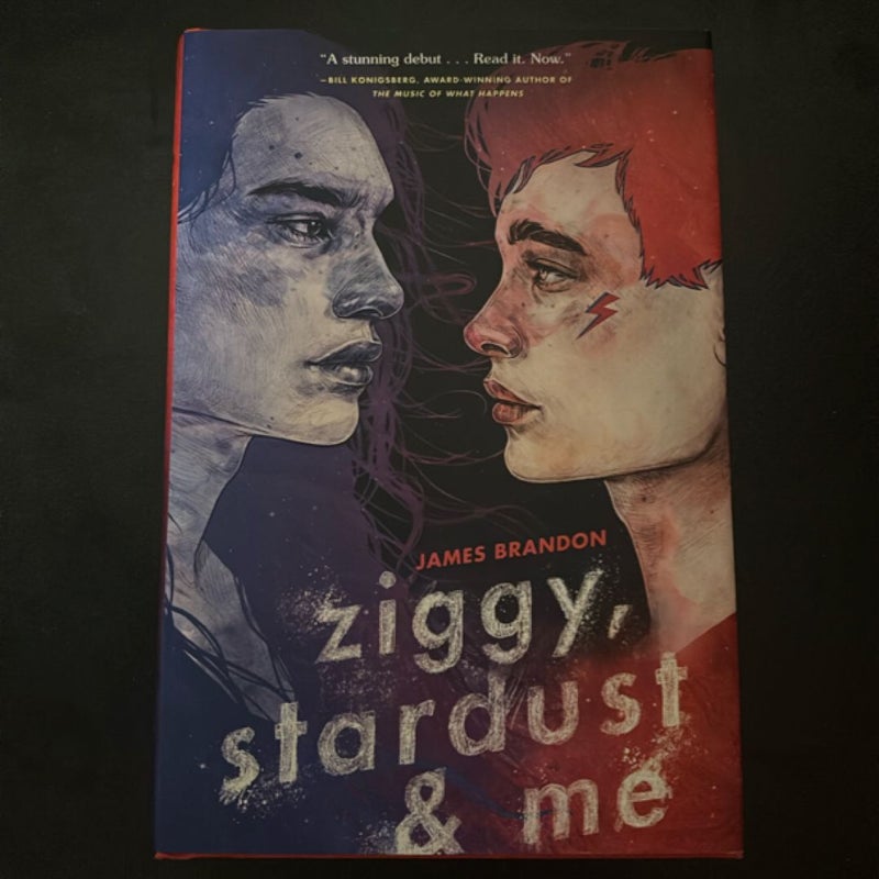 Ziggy, Stardust and Me