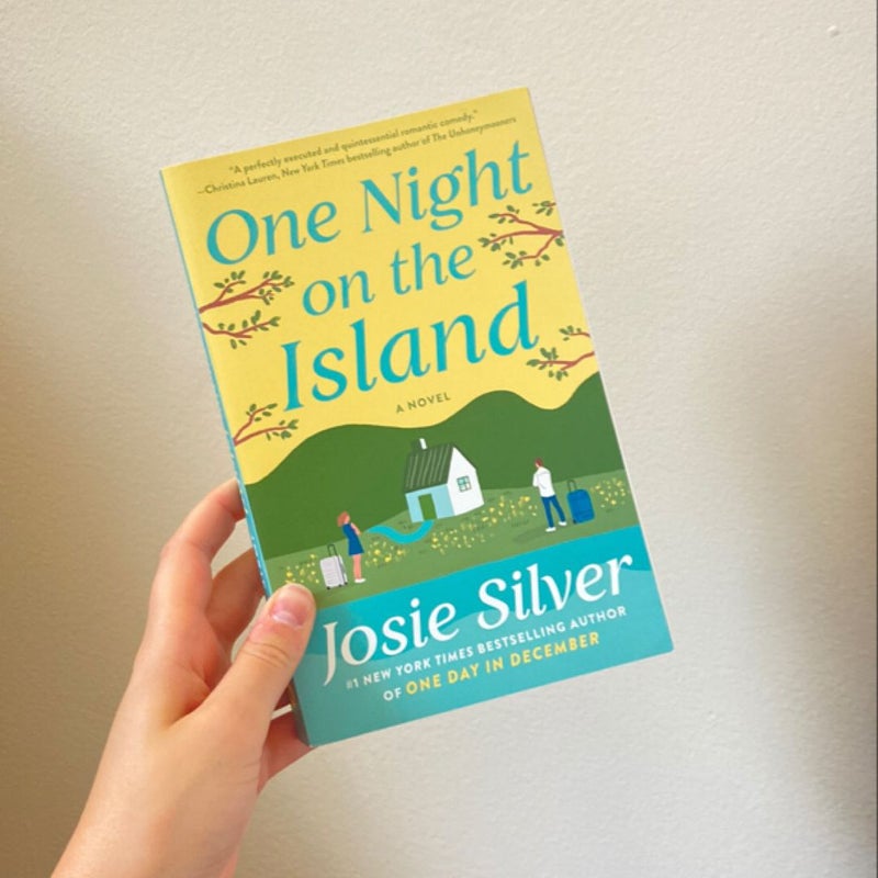 One Night on the Island