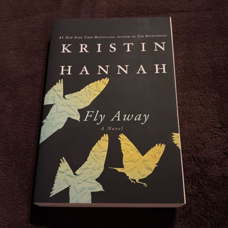 Fly Away by Kristin Hannah, Paperback | Pangobooks