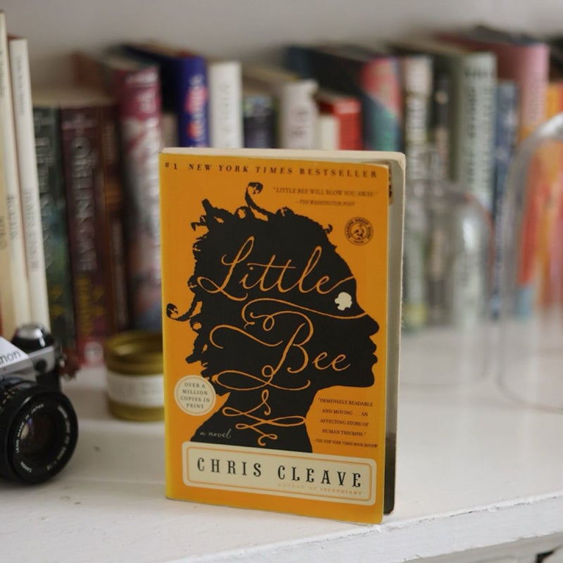 Little Bee