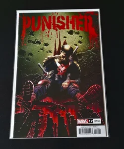 Punisher #12