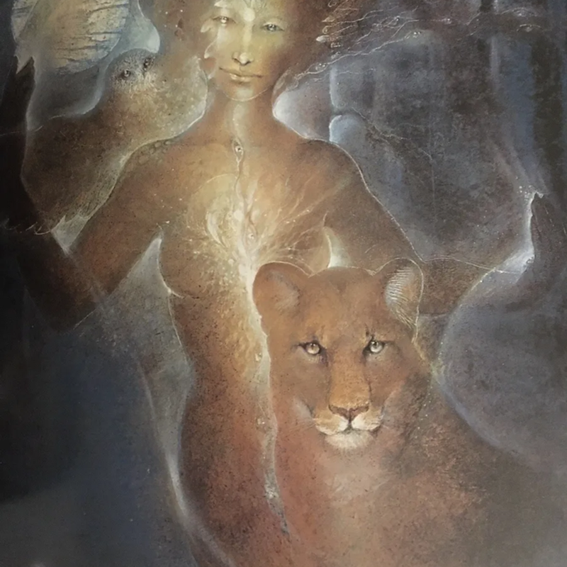 Shaman : The Paintings of Susan Seddon Boulet 